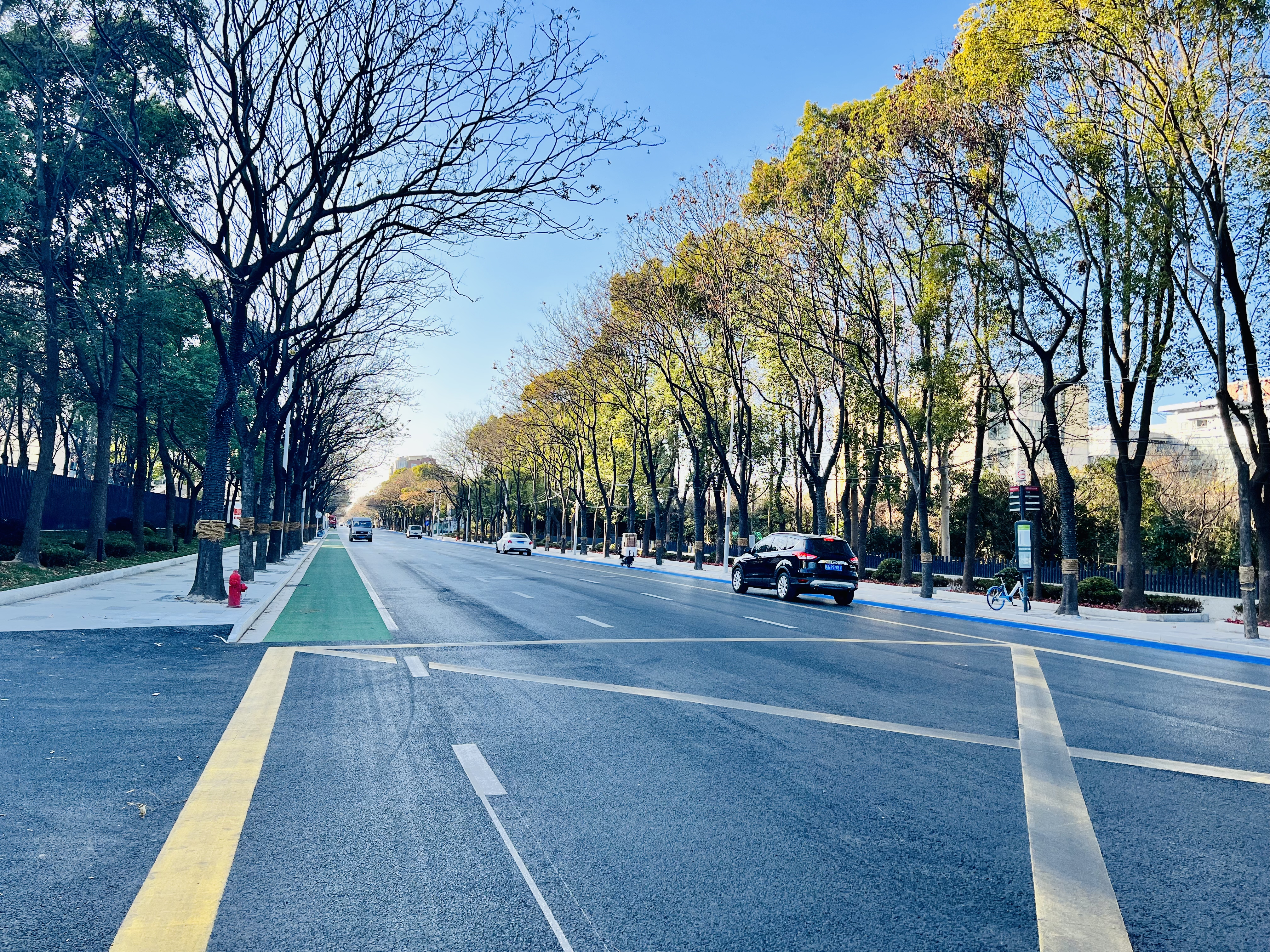 WechatIMG2971.jpeg WechatIMG2971.jpeg